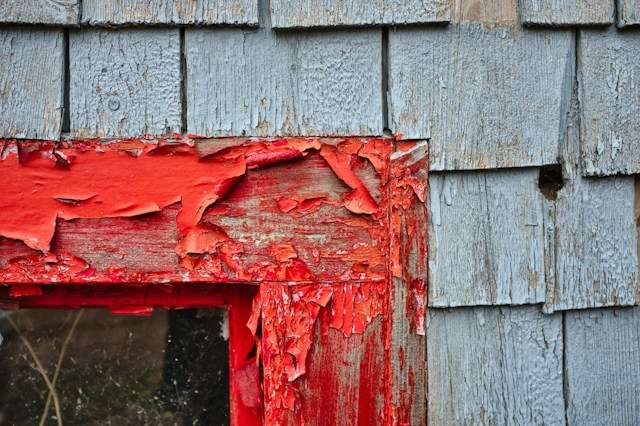 Wood Rot Repair